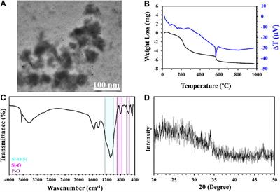 Surface Functionalization of Three Dimensional-Printed Polycaprolactone-Bioactive Glass Scaffolds by Grafting GelMA Under UV Irradiation